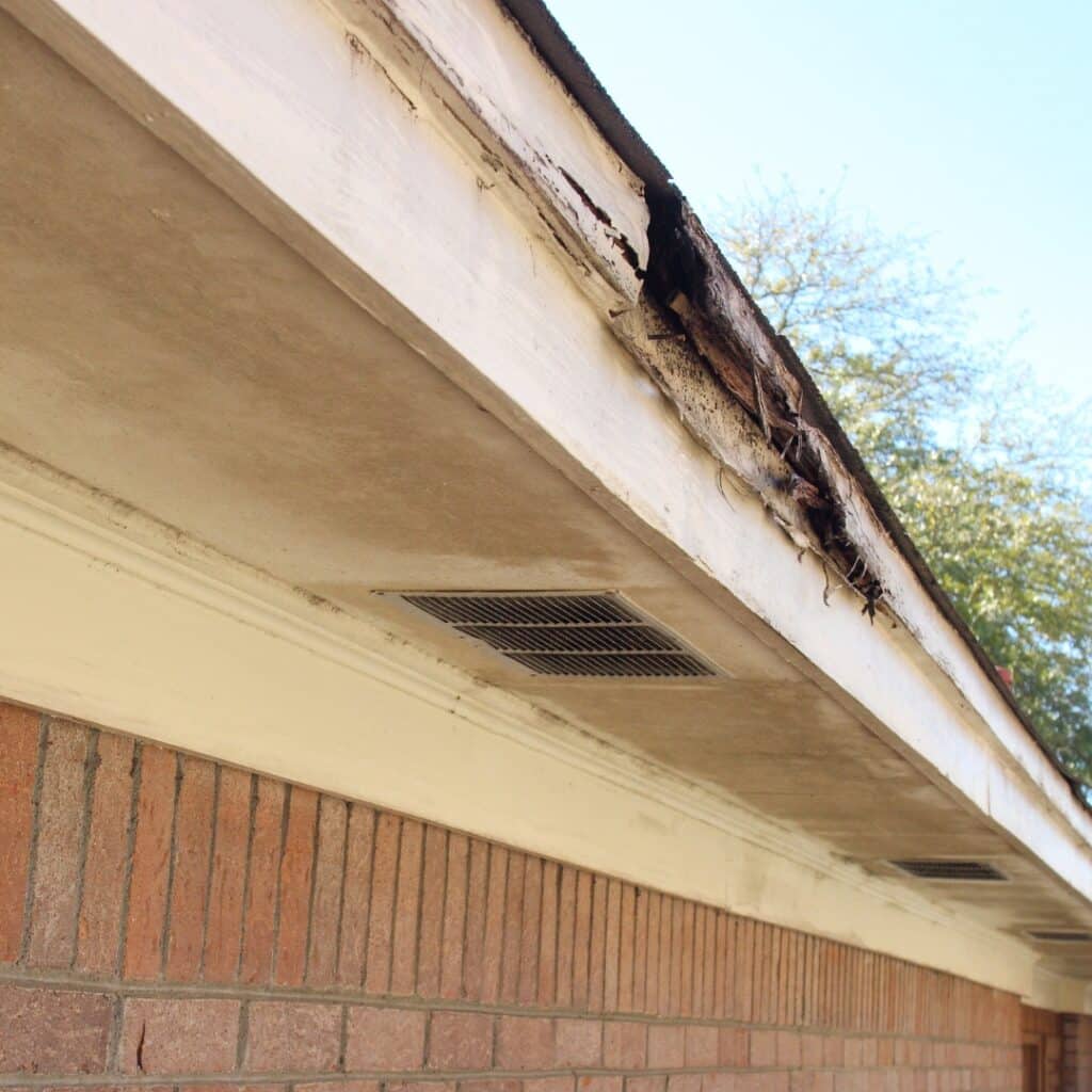 wood rot repair
