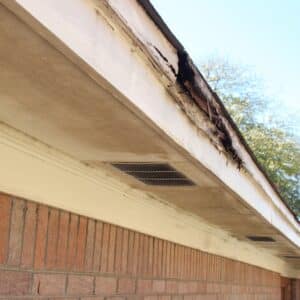 wood rot repair